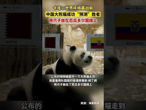 热议升级,流畅帧率才,是画质体验,世界杯小组赛,2026世界杯,赛程,球队对阵,小组排行